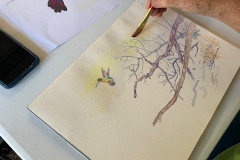 AnneHummingbird1