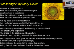 Screenshot-2023-10-14-133937