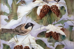 Carolina Chickadee