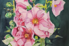 Hollyhocks