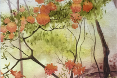 Spring Blossoms