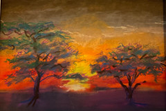 MerisDesertSunset