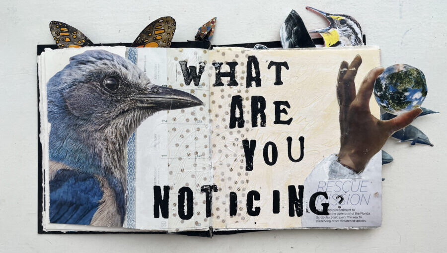 Mixed media rt with the words, "What Are You Noticing?"