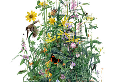 watercolor of native plants with birds, butterflies, bees, and flowers
