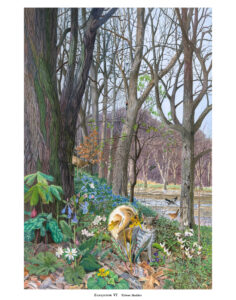 Watercolor of a woodland scene with a lake, birds, squirrels, flowers, and trees