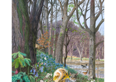 Watercolor of a woodland scene with a lake, birds, squirrels, flowers, and trees