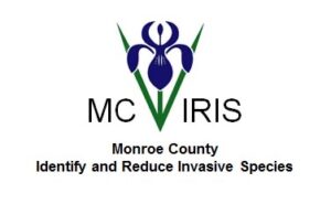 MC IRIS Bloomington logo