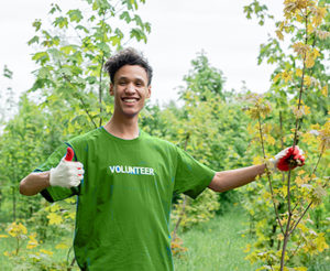volunteer planting tree