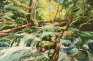 Rushing Water at Spring Mill Creek -- painting by MarySue Schwab