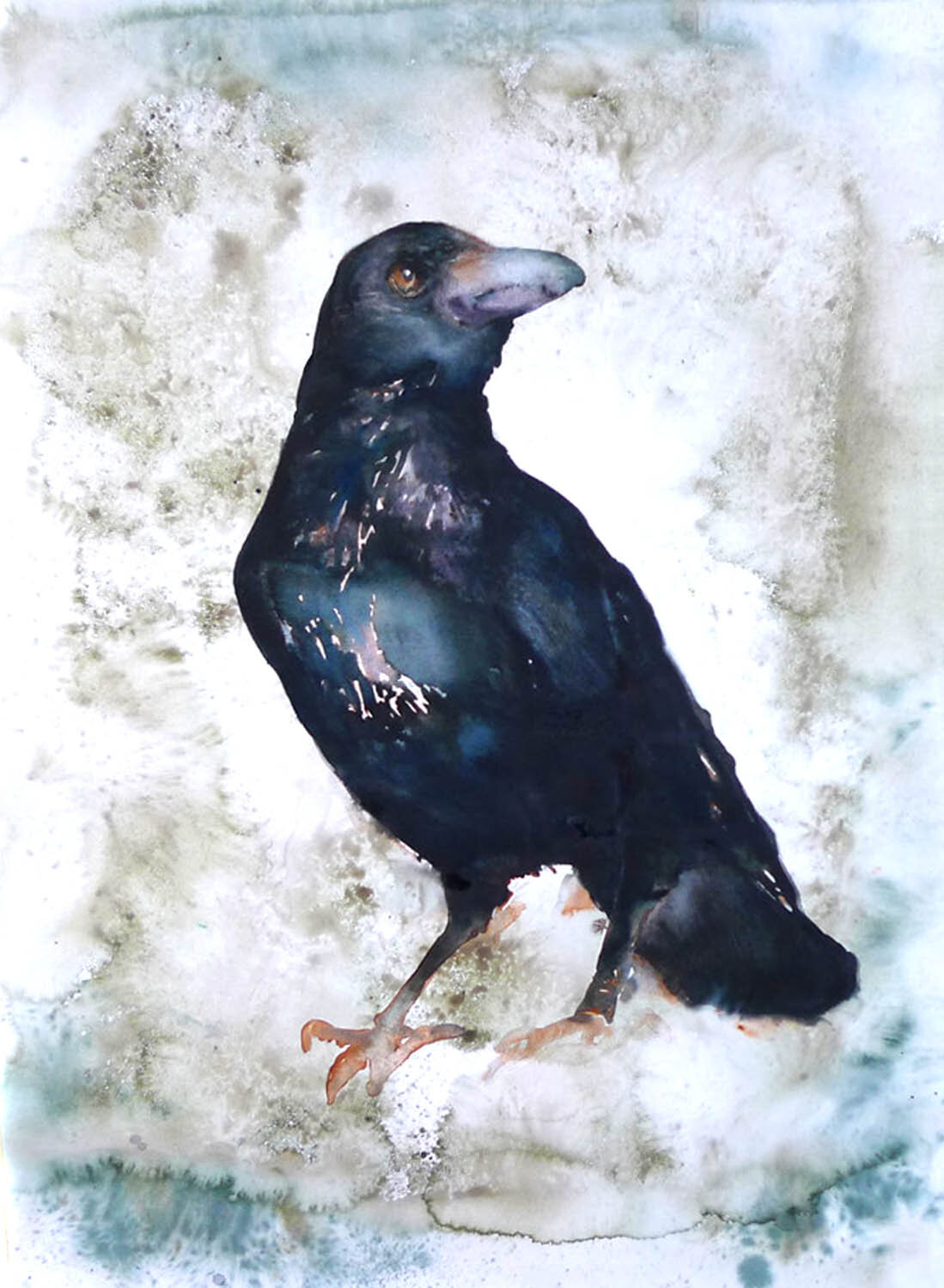 Russell Crow painting by Carol Carter