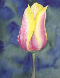 painting of a single tulip