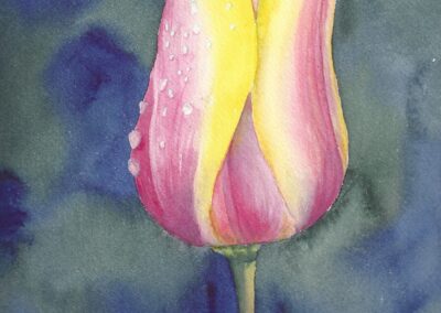 painting of a single tulip