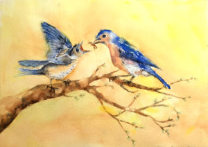 painting of Eastern Bluebirds