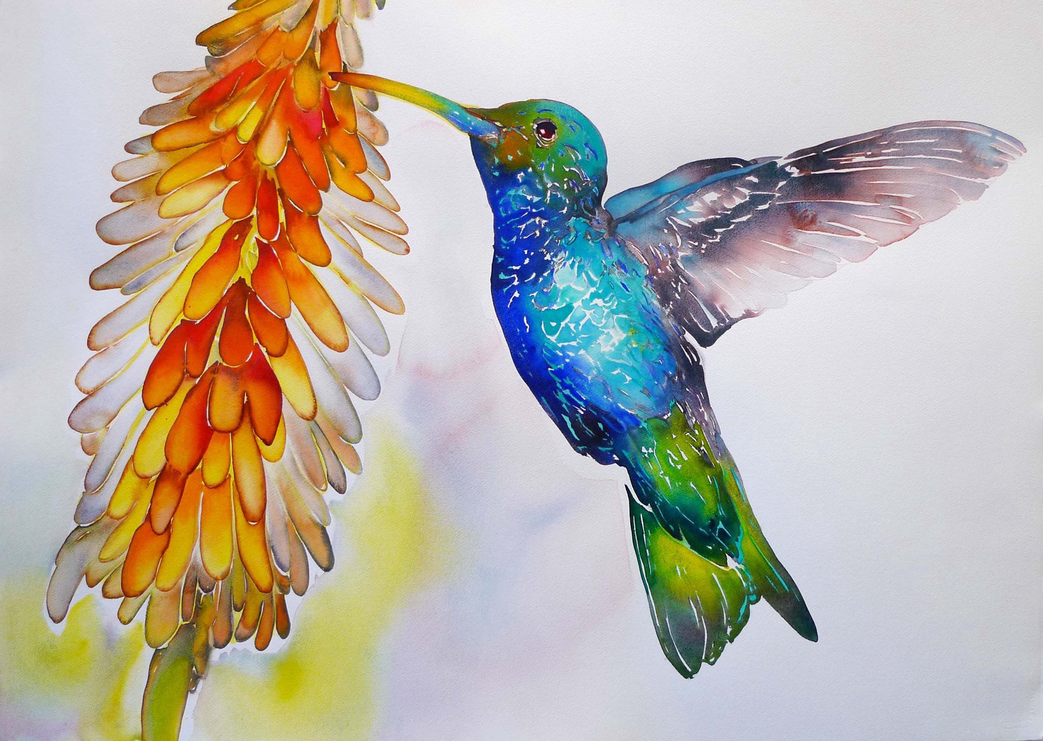 Hummingbird painting by Carol Carter