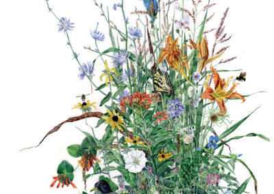 watercolor of native plants with birds, butterflies, bees, and flowers