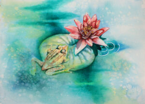 Frog and Lily Pad watercolor