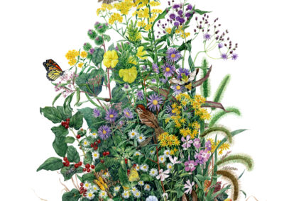 watercolor of native plants with birds, butterflies, bees, caterpillars, rabbit, and flowers