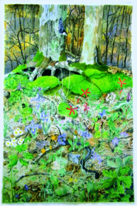 Watercolor of a woodland scene with snakes, bird, nuts, flowers, and grasses