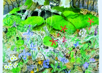 Watercolor of a woodland scene with snakes, bird, nuts, flowers, and grasses