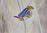 Susan Butler-Graham painting of Sparrow Perch